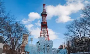 Zima w Japonii atrakcje i zwierzęta które warto zobaczyć w tym okresie