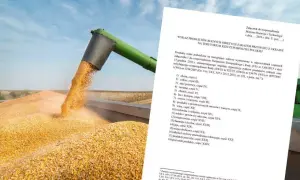 Zboże z kombajnu i dokument o tym, co można przywieźć z Ukrainy: zboża, cukier, owoce, warzywa, wino, miód.