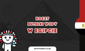 Urocza postać w stroju faraona trzyma butelkę wody, a grafika pyta: "Koszt butelki wody w Egipcie".