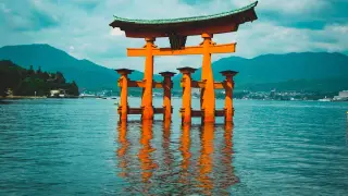 Wielka, pomarańczowa brama torii w morzu, symbol Japonii. Idealne miejsce na wyjazd na własną rękę.