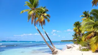 Rajska plaża z palmami i turkusową wodą. Idealne miejsce na wakacje, zanim nadejdzie sezon huraganów na Karaibach.