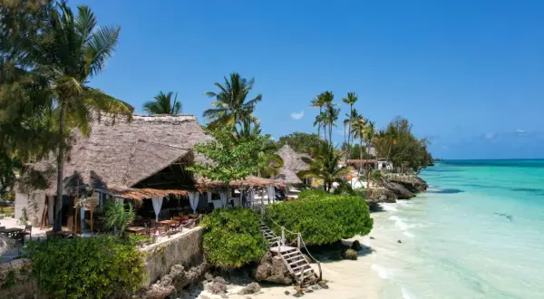 Rajskie plaże i palmy na Zanzibarze na własną rękę. Tropikalny kurort z widokiem na turkusowe morze.